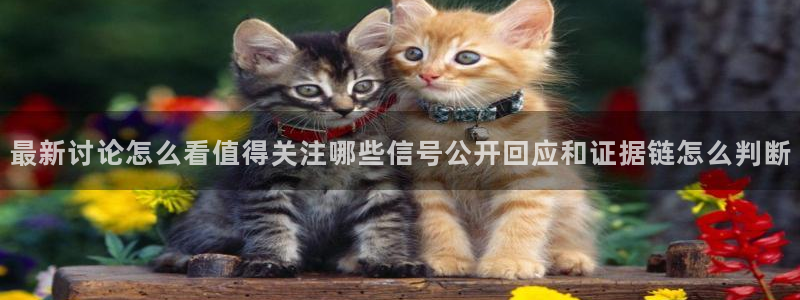 热门吃瓜今日更新