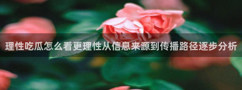 吃瓜爆料来源梳理