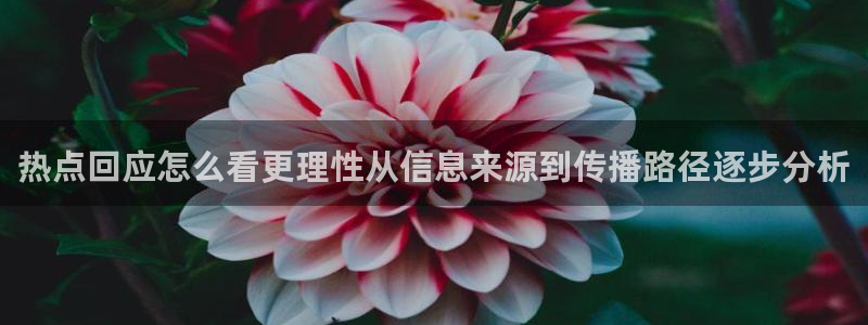 吃瓜热点汇总