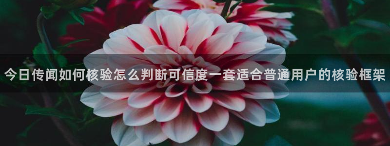 网络热点后续进展