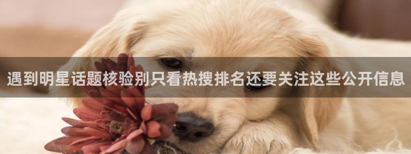 娱乐吃瓜最新消息