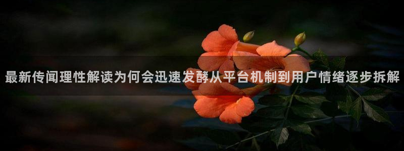 娱乐吃瓜今日更新
